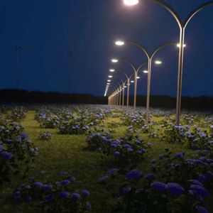 高圆圆_黄瓜视频
