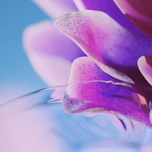 高圆圆_黄瓜视频
