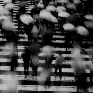 高圆圆_黄瓜视频
